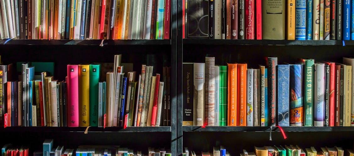 El encuentro será en la Biblioteca Meira Delmar / imagen de referencia. 