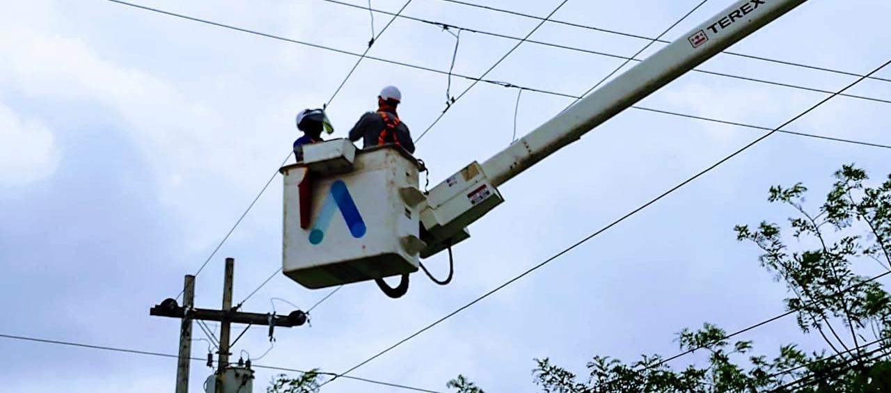 Imagen de referencia. 