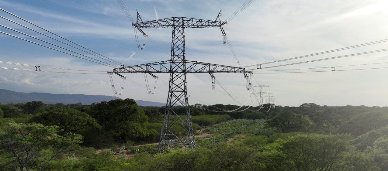 Imagen de referencia.