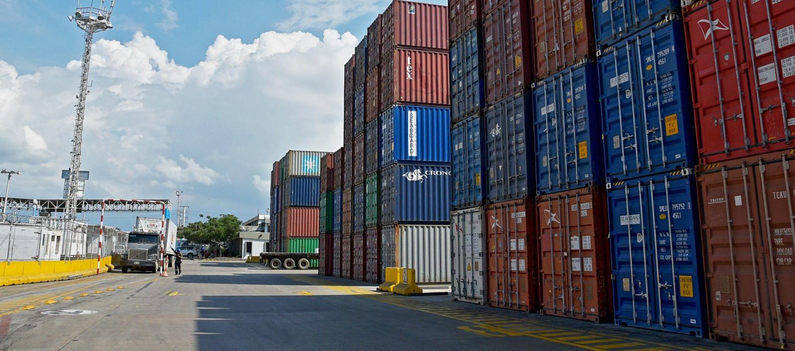 Imagen de referencia.