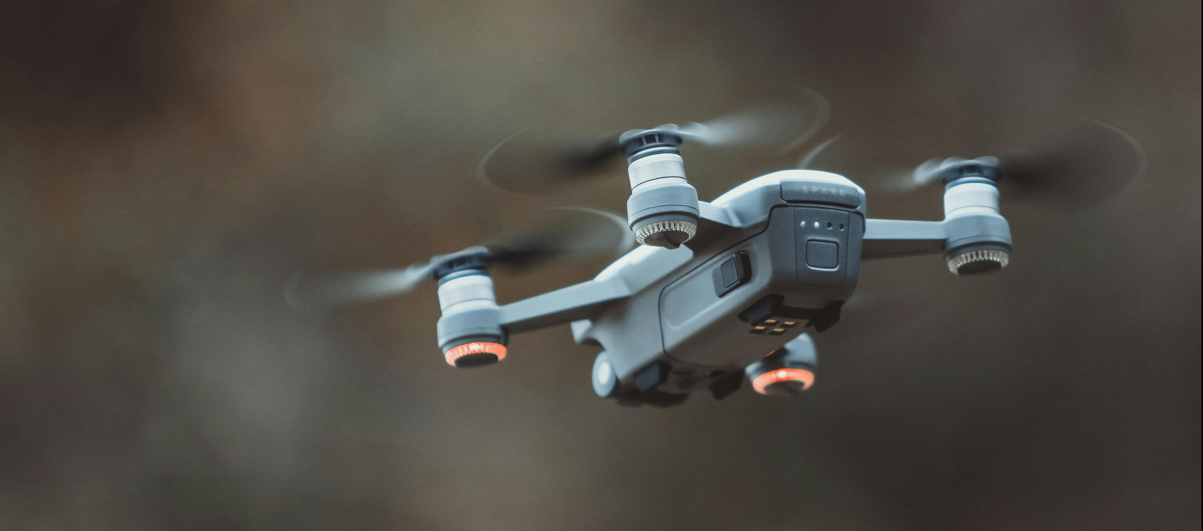 Imagen de referencia.