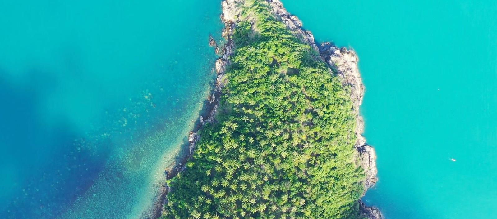 Imagen de referencia.