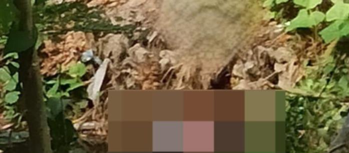 Lugar donde fue asesinada la mujer. 