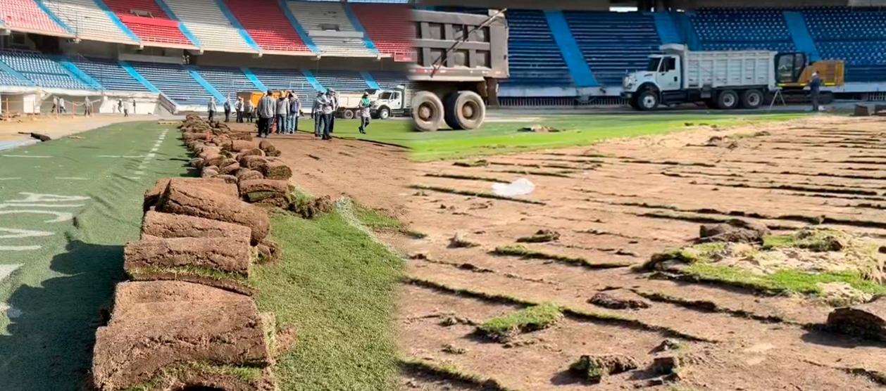Grama del estadio Metropolitano.