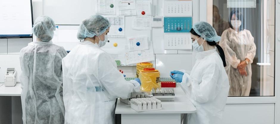 Imagen de referencia.