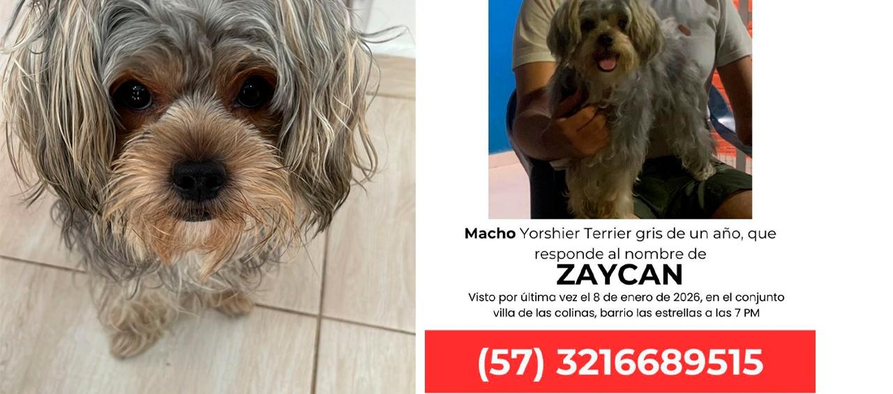 Una foto de Zaykan y el afiche que su familia está distribuyendo