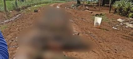 Combate entre disidencias