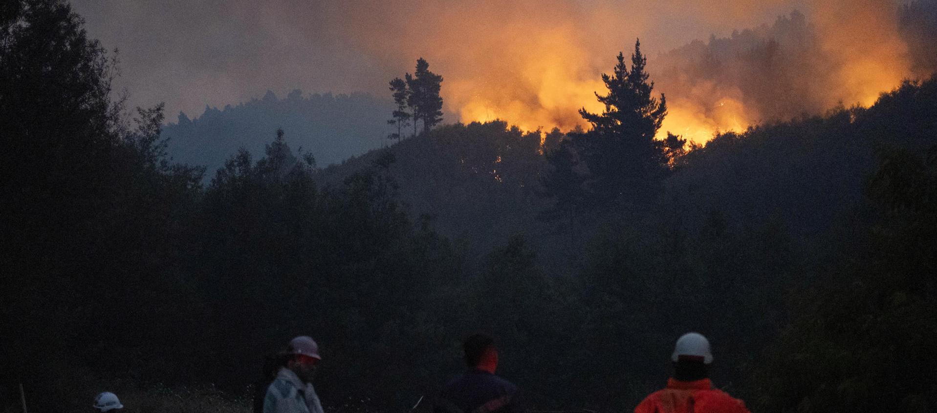 Incendios forestales en Chile