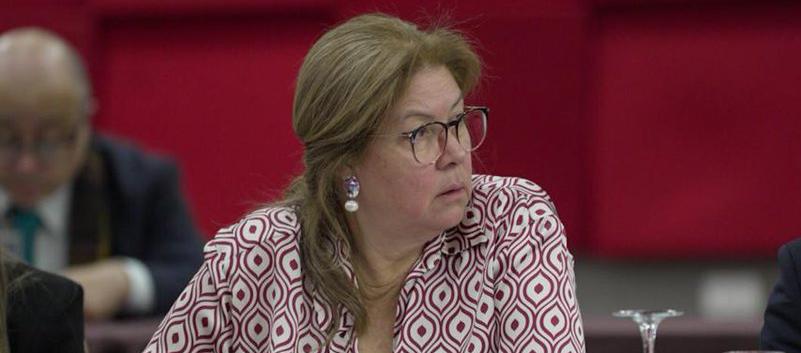 Alejandra Barrios, directora de la MOE.