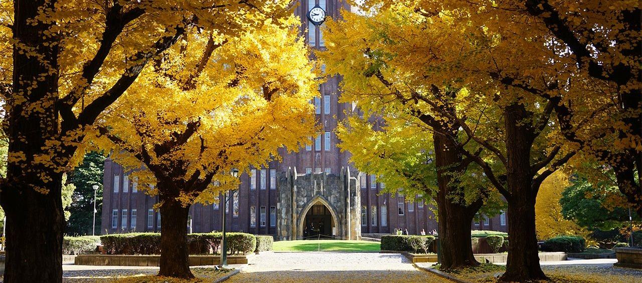Universidad de Tokyo