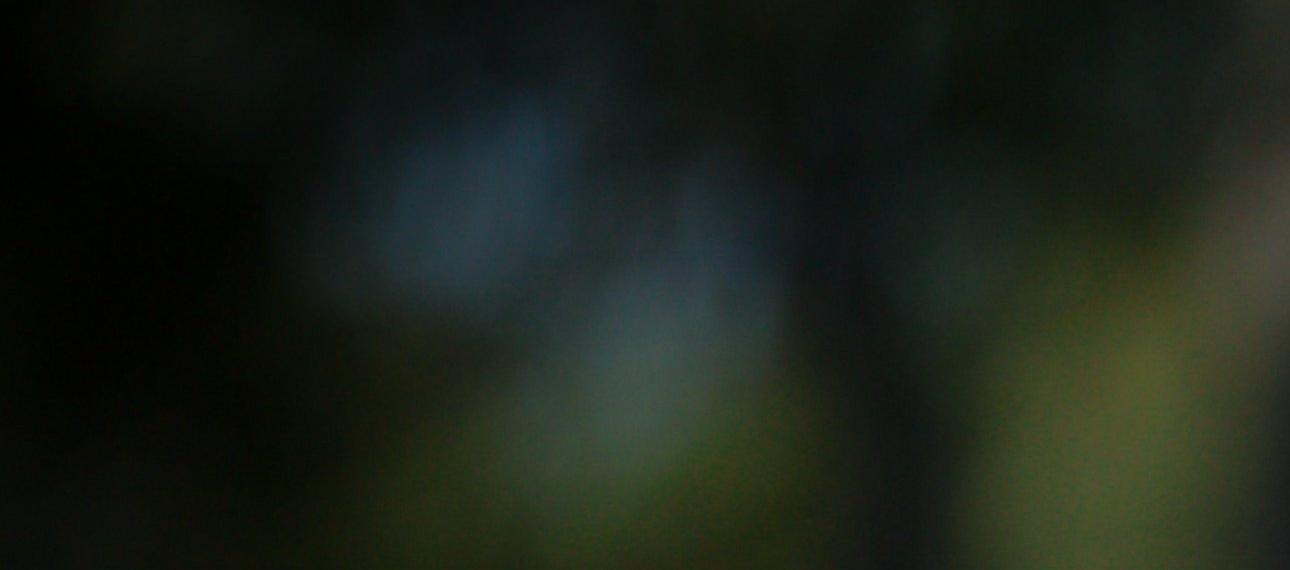 El delantero colombiano Edwuin Cetré.