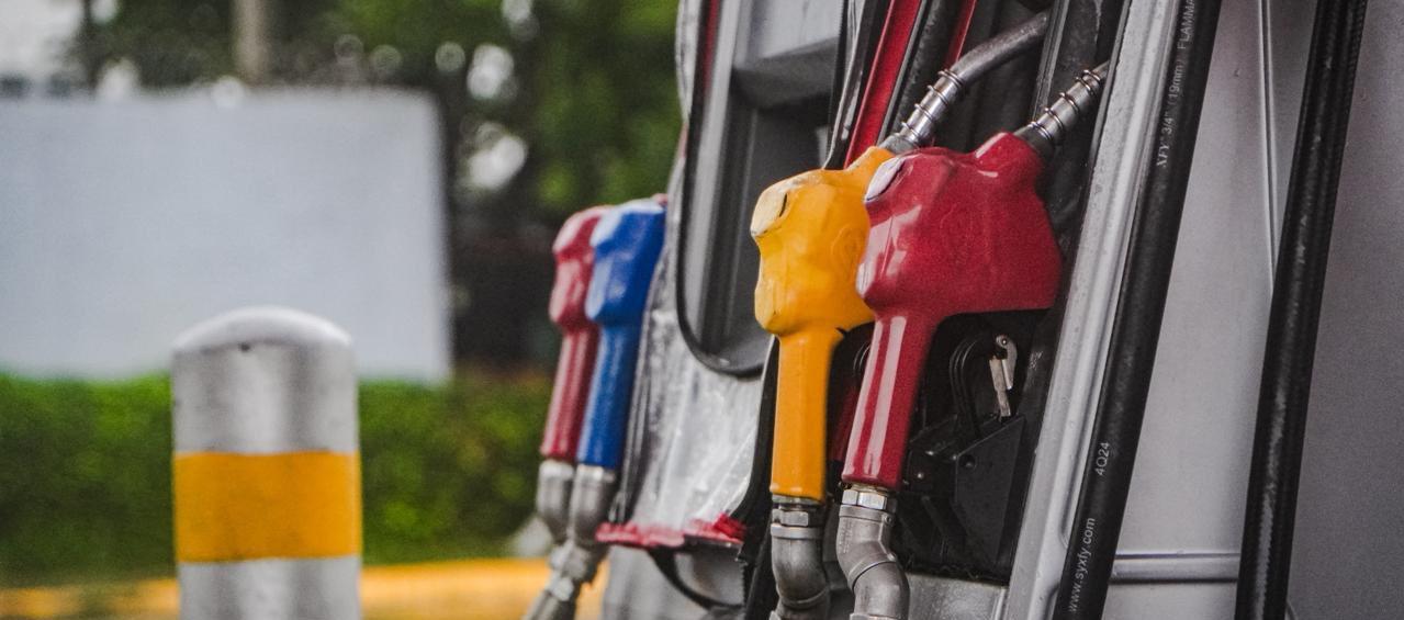 Imagen de referencia.