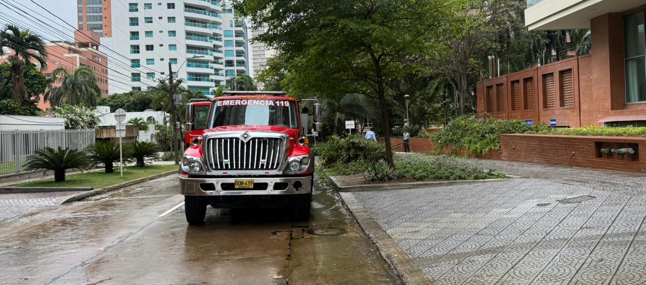 Imagen de referencia.