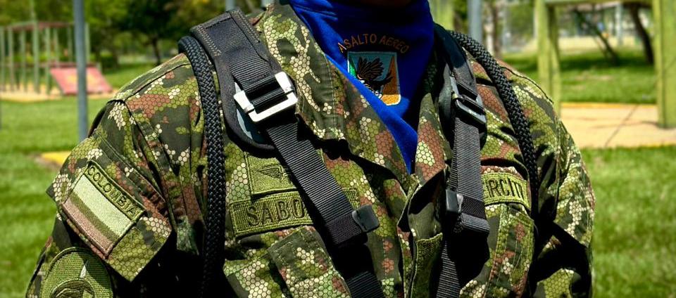 Imagen de referencia.