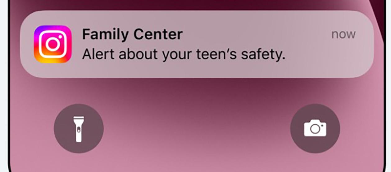 Imagen de la notificación de alerta.