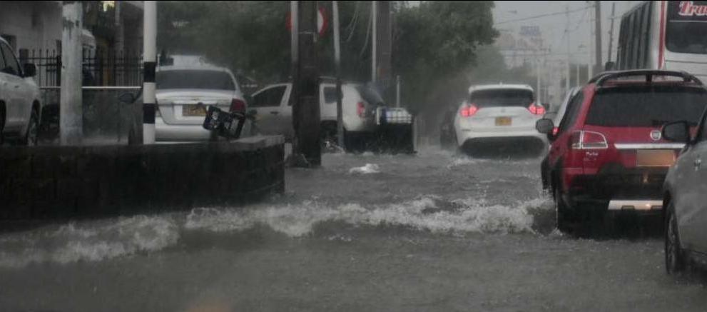 Imagen de referencia.