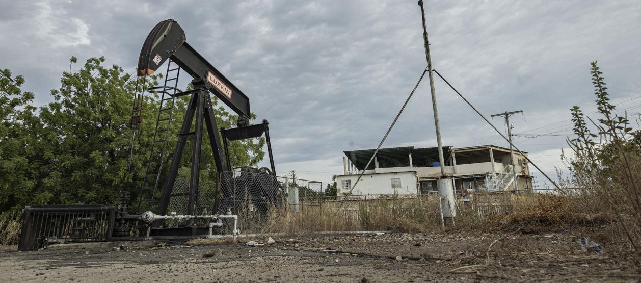 Imagen de referencia.