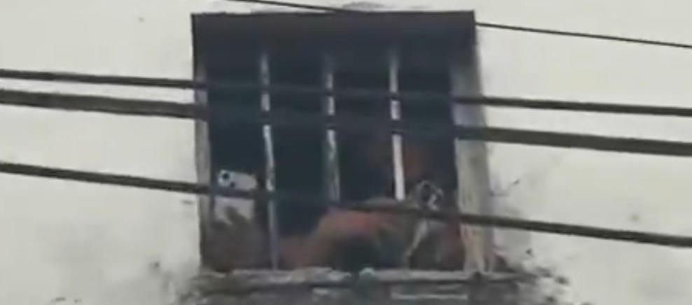 Presos grabando desde la Cárcel Modelo Barranquilla