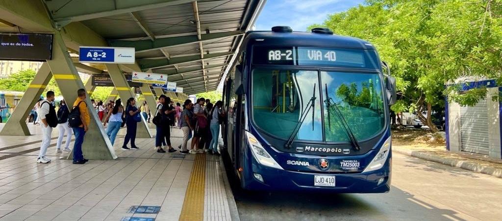 Imagen de referencia.