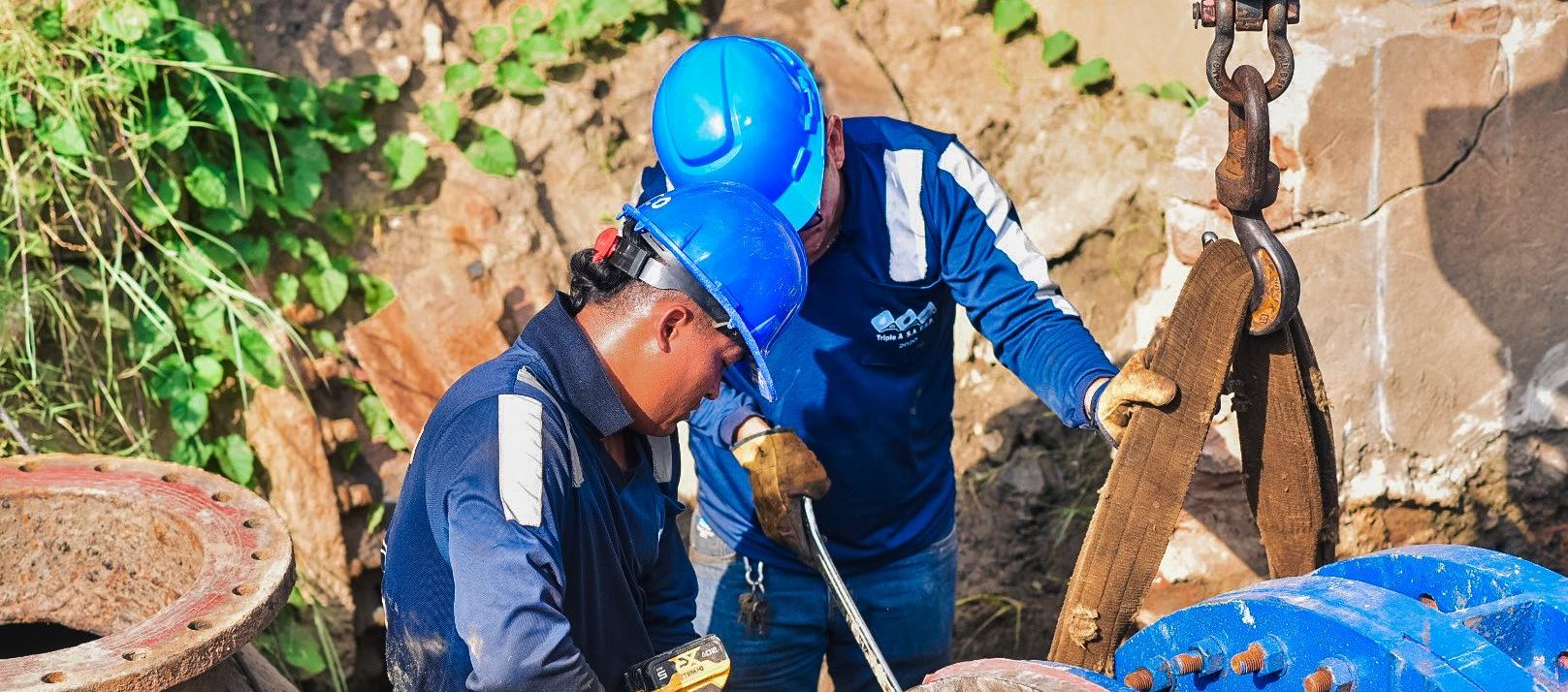 Imagen de referencia.