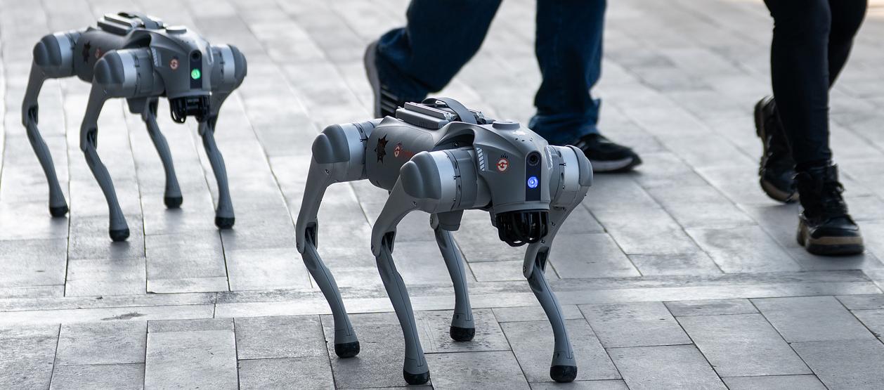 Dos de los perros robots que serán utilizados durante el próximo Mundial.