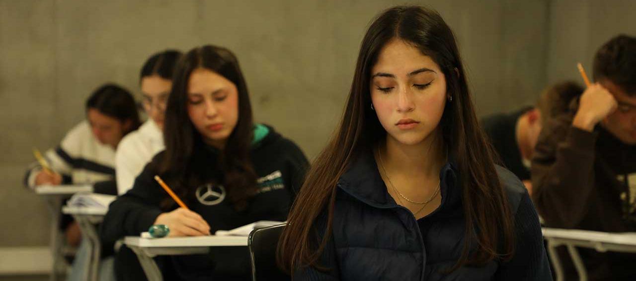 Imagen de referencia.