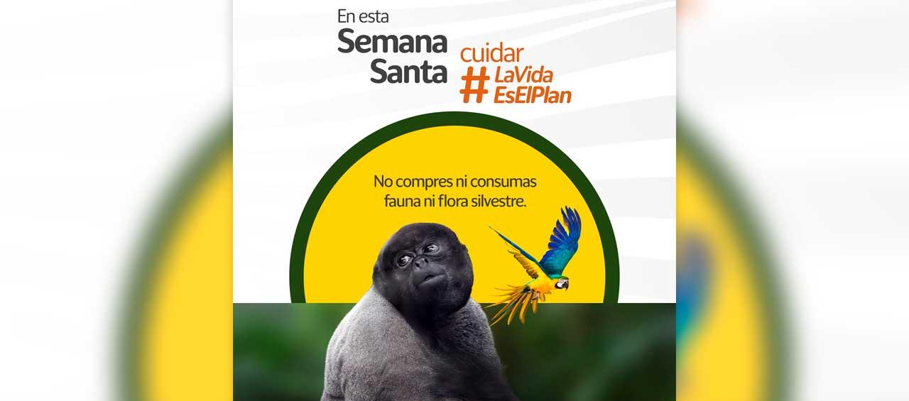 Imagen del Ministerio de Ambiente.