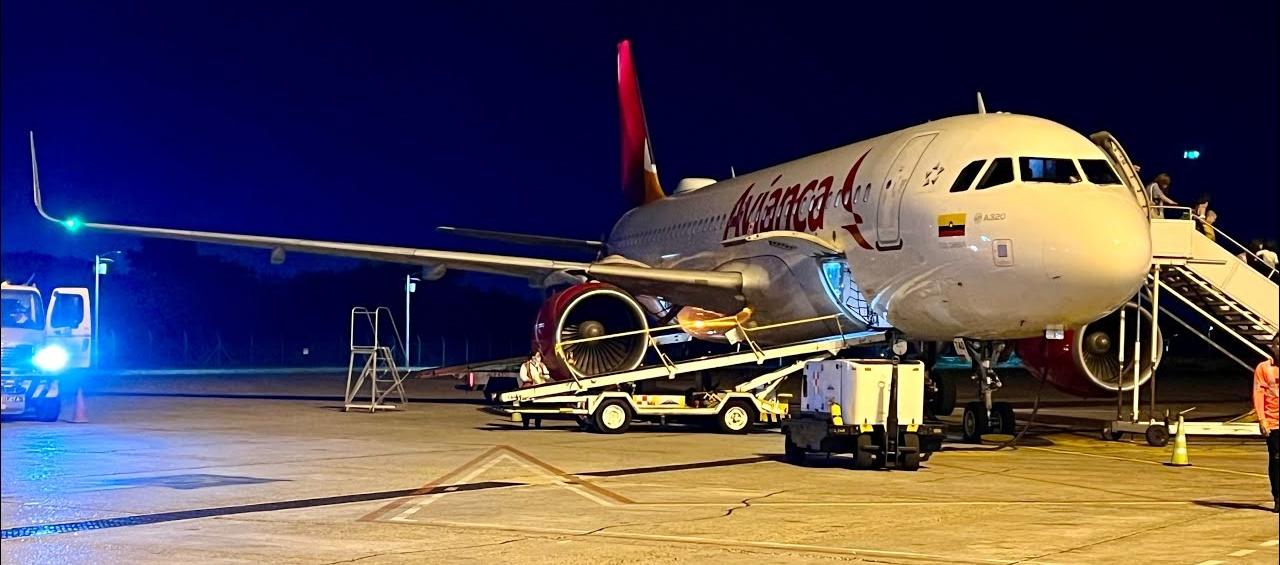 Imagen de referencia de avión aterrizando en el Cortissoz