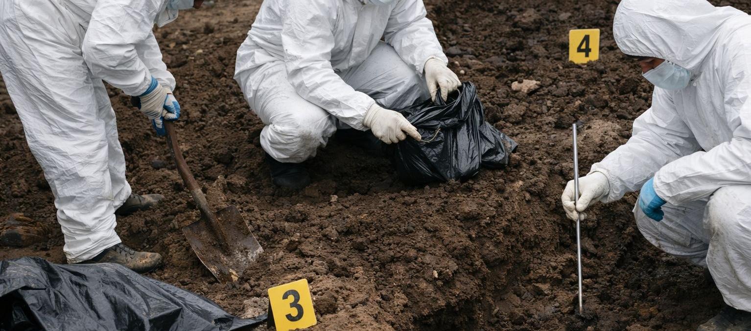 Imagen de referencia. 