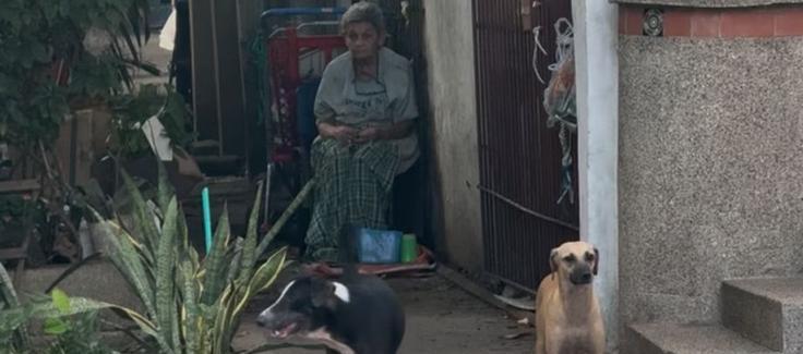 La vivienda, dos de los perros y una de las señoras que reside en el sitio.