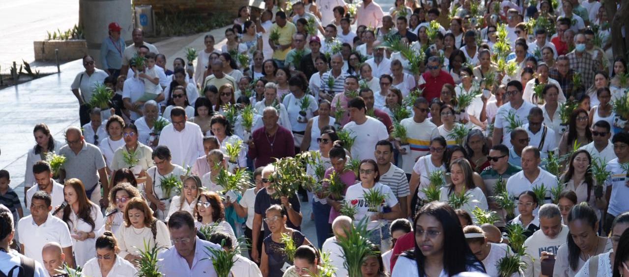 Con planta de areca para contribuir al cuidado del ambiente y los recursos naturales del territorio. 