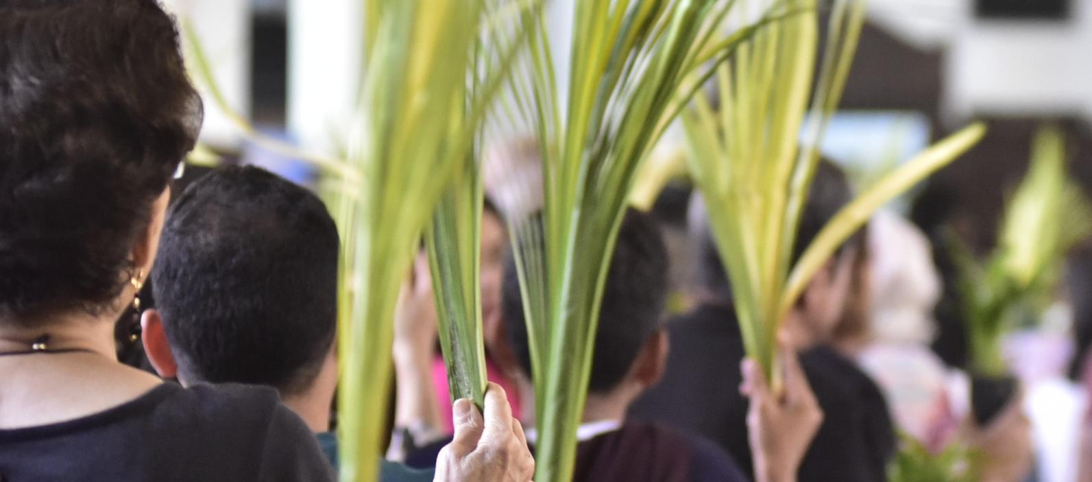 Celebración del Domingo de Ramos.