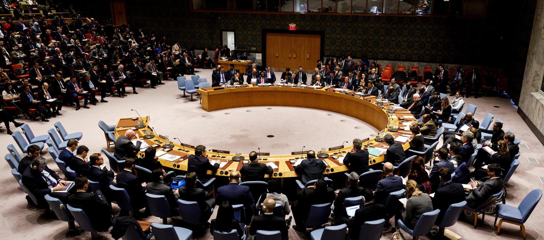 Consejo de Seguridad de la ONU. 