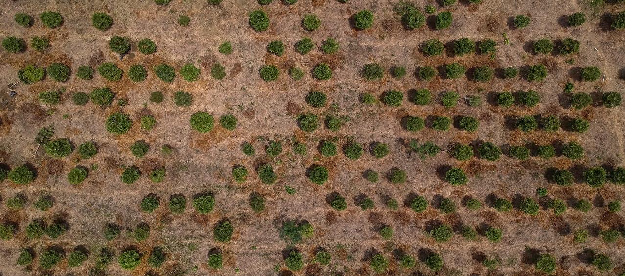 Foto con efectos del fenómeno de El Niño.