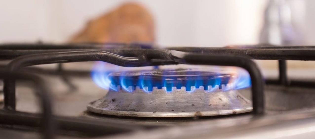 Imagen de referencia.