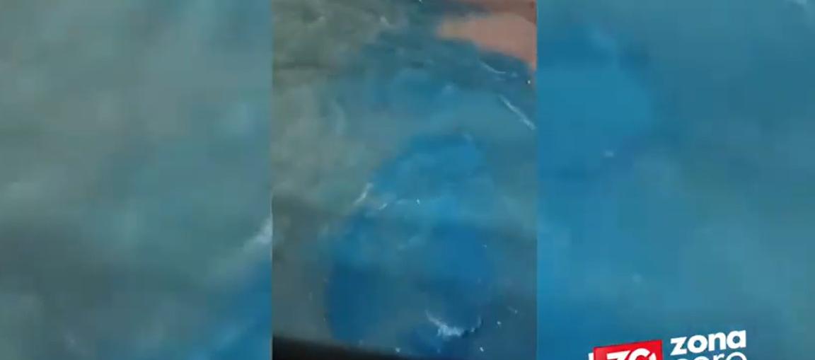 La extraña mancha azul en el río Magdalena. 