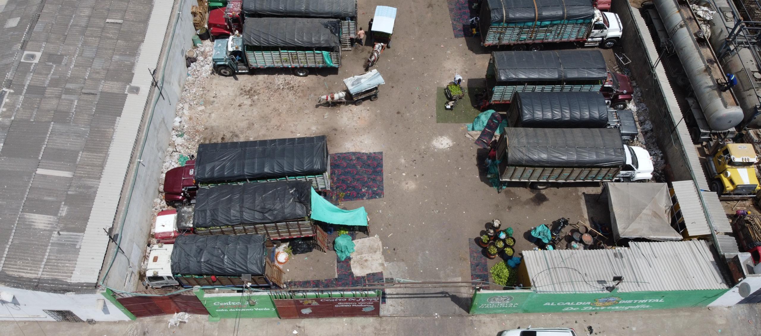 El pequeño parqueadero que tienen los mayoristas de guineo para distribuirlo y venderlo. 