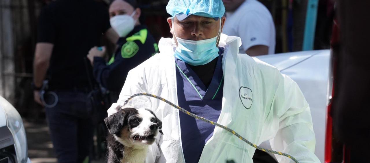 Imagen del operativo.