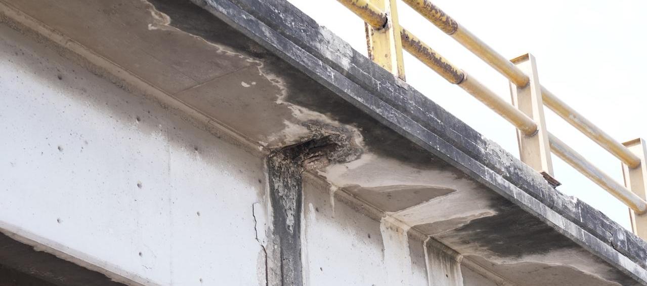 Puente de la Cordialidad con Circunvalar