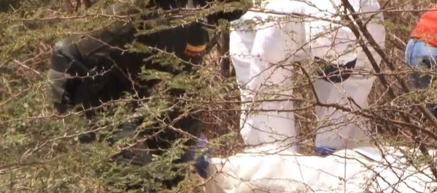 Imagen de referencia. 