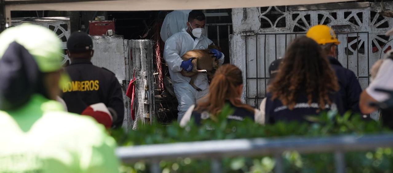 Momento de la inspección en la vivienda.