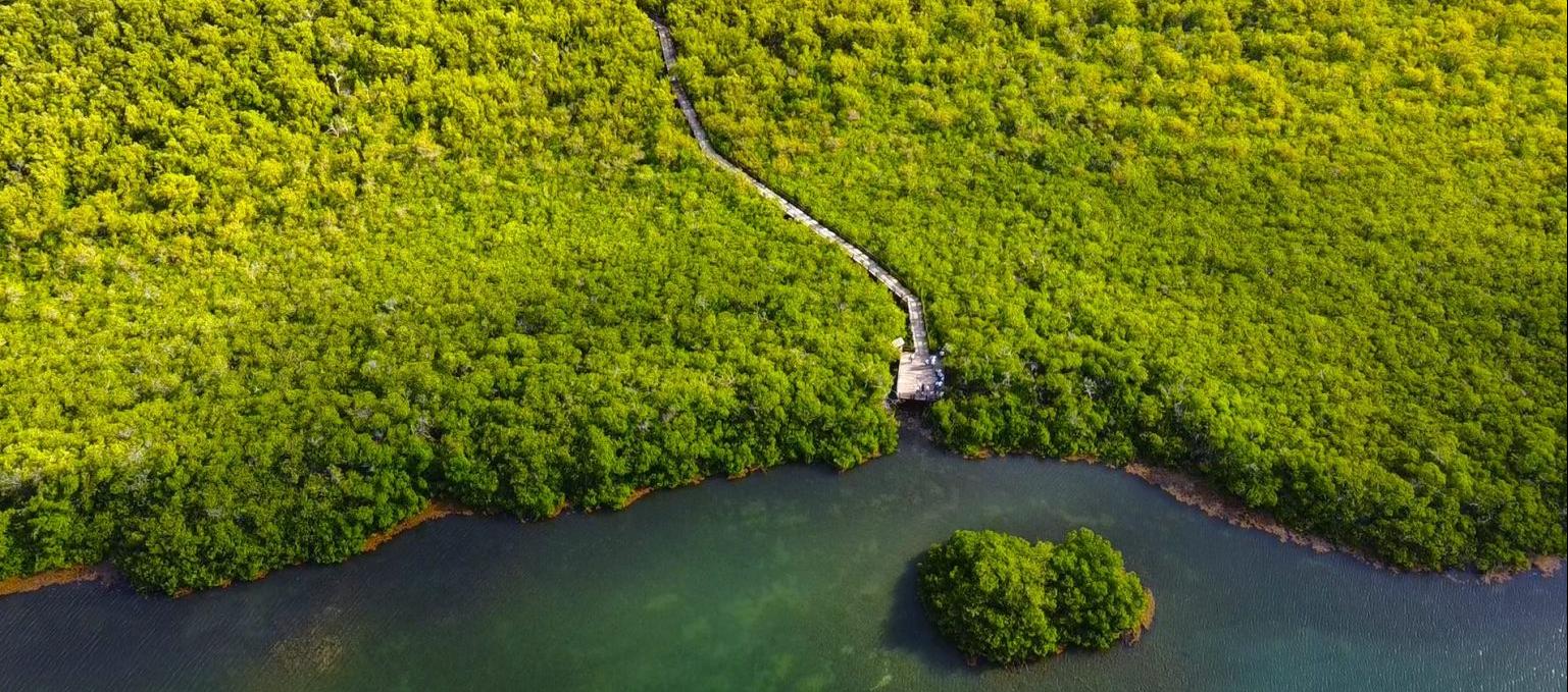 Zona verde de San Andrés atendida por Coralina