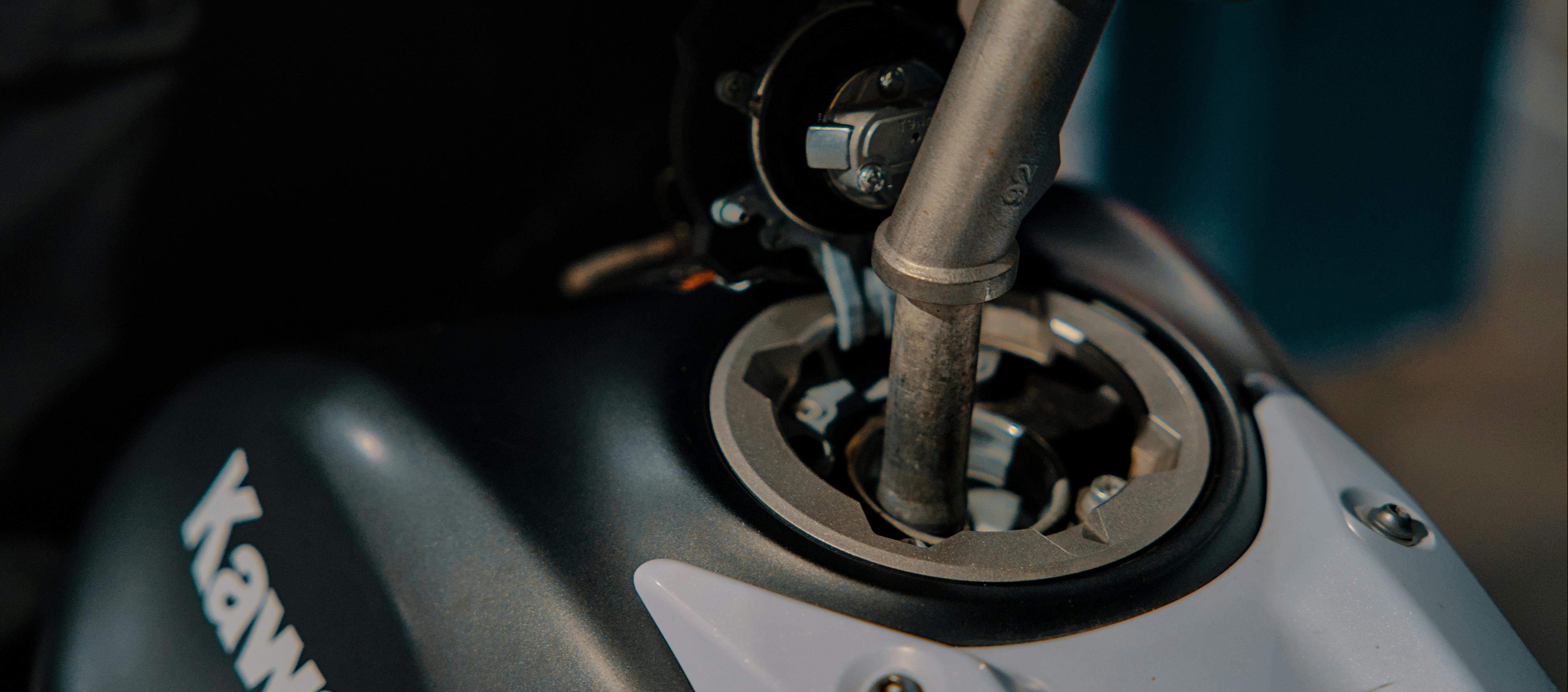 Imagen de referencia. 