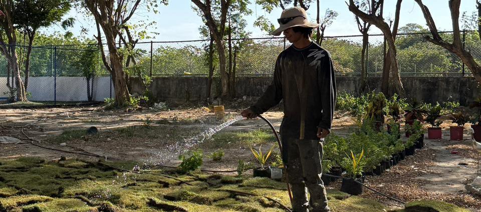 Gramilla instalada en la Humboldt procedente del Metropolitano