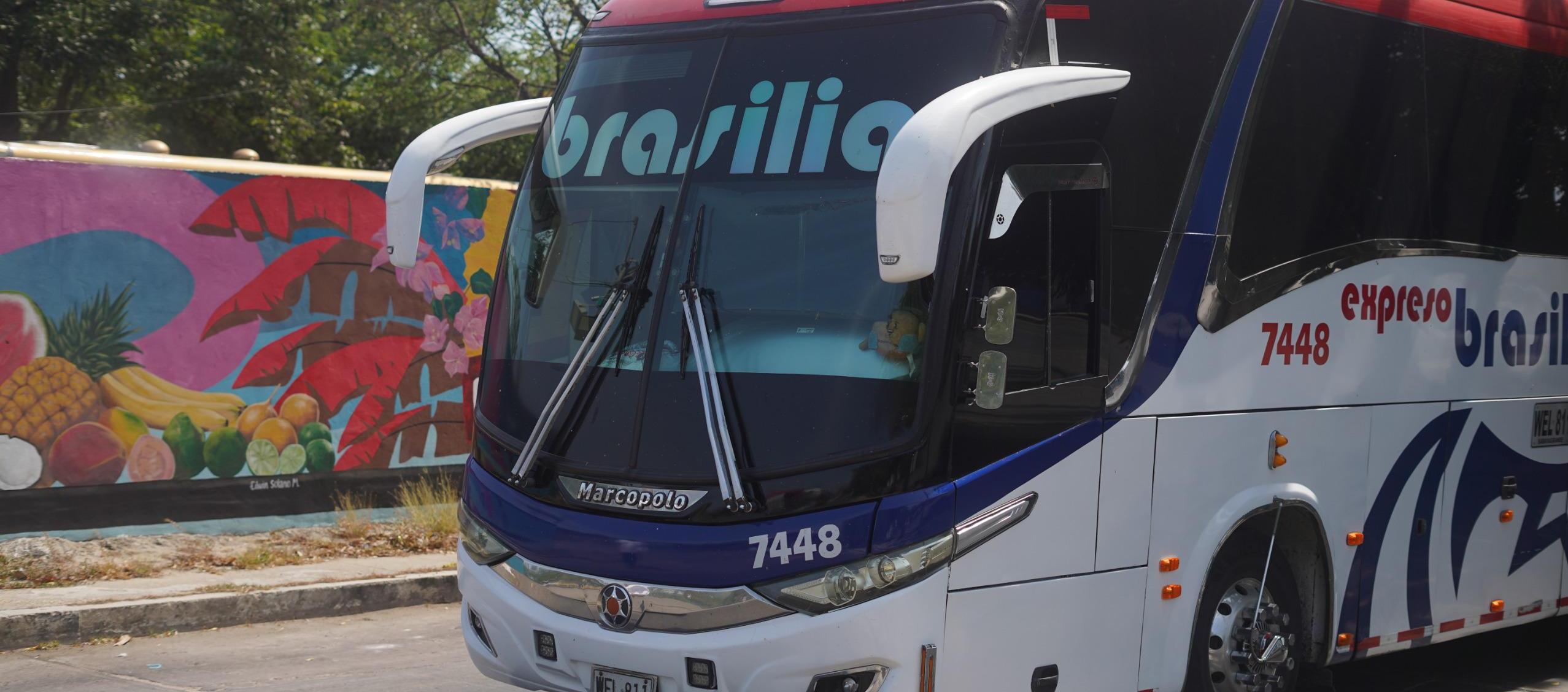 Buses que prestan sus servicios en la Terminal de Transporte. 