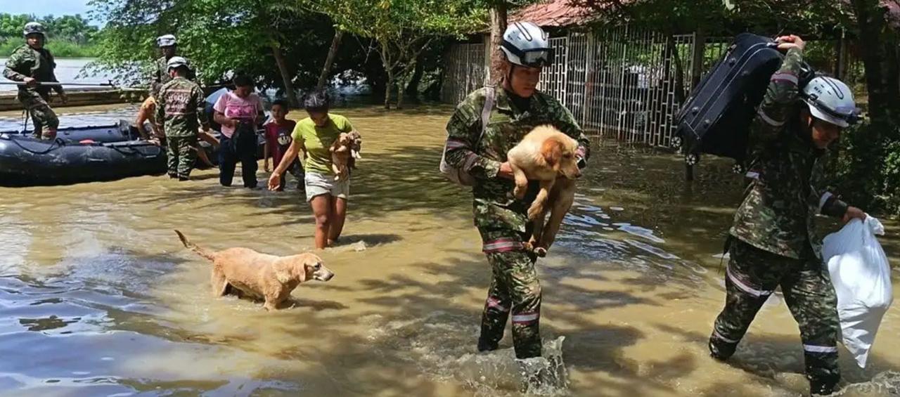 Imagen de referencia.