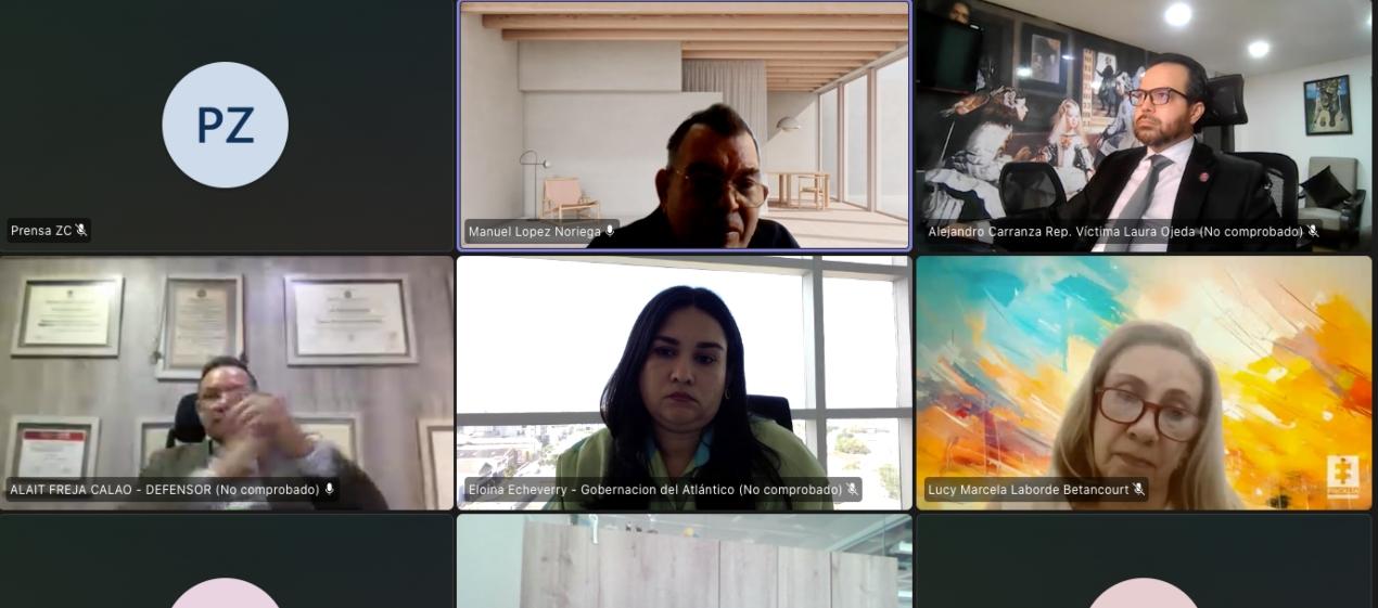 Aspecto de la audiencia virtual de este miércoles. 