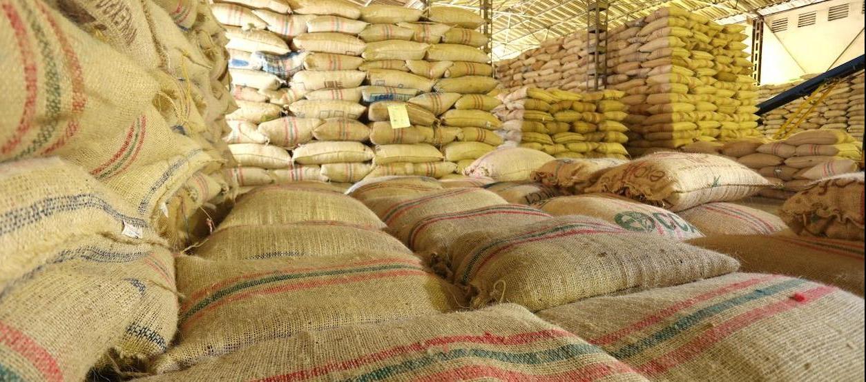 Imagen de referencia.