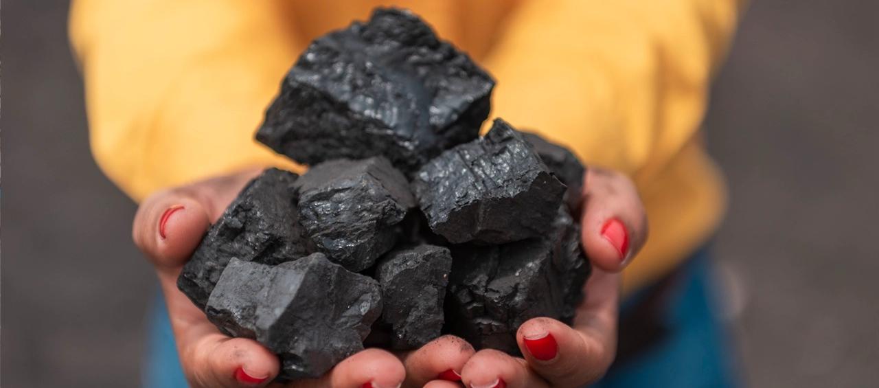 Imagen de referencia.