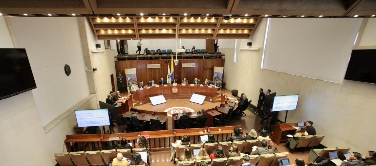 Corte Constitucional.
